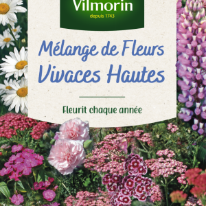 MELANGE FLEURS VIVACES HAUTES