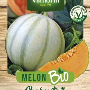 MELON CHARENTAIS BIO