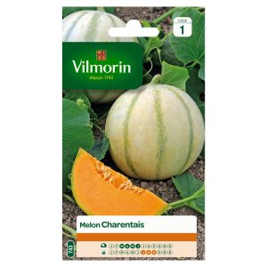 MELON CHARENTAIS