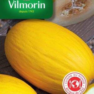 MELON JAUNE CANARIA  746