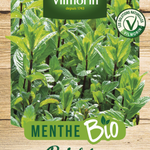 MENTHE POIVREE BIO