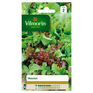 MESCLUN