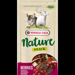 NATURE SNACK BERRIES 85G