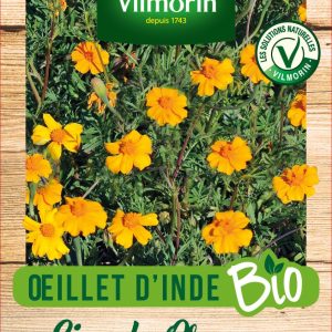 OEILLET INDE BIO