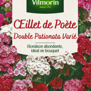 OEILLET POETE DOUBLE PATIONATA VARIE