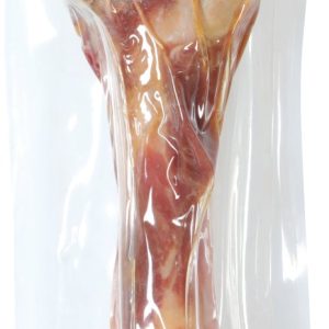 OS DE JAMBON FEMUR