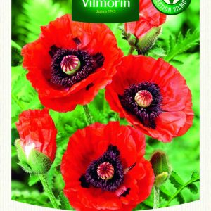 PAPAVER ORIENTALE
