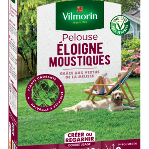 PELOUSE ELOIGNE MOUSTIQUE