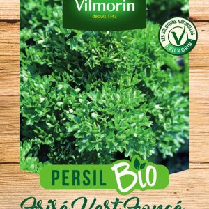PERSIL FRISE VERT BIO