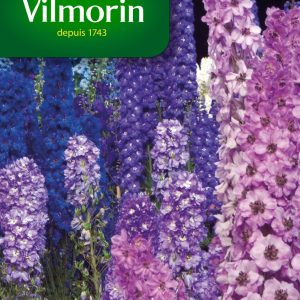 PIED ALOUETTE DELPHINIUM MIX
