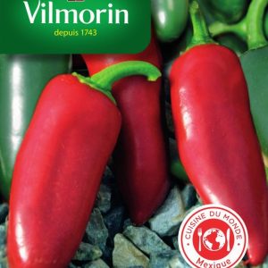 PIMENT JALAPENO  759