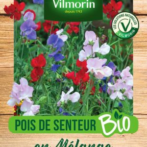 POIS DE SENTEUR MIX BIO