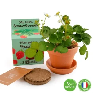 POT 8CM FRAISIER