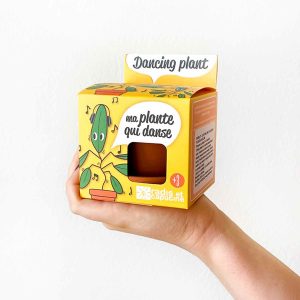 POT 8CM PLANTE QUI DANSE