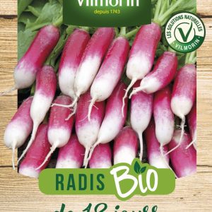 RADIS DE 18 JOURS BIO
