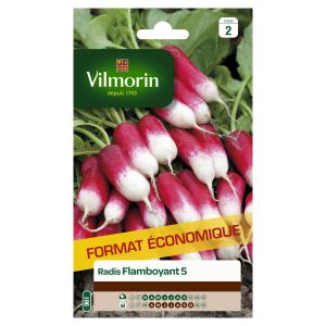 RADIS FLAMBOYANT 5 GM