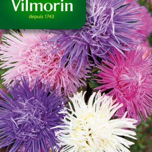 REINE MARGUERITE PLUME AUTRUCHE MIX