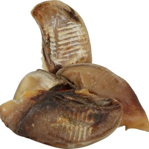 SABOT DE BŒUF