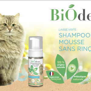 SHAMPOOING MOUSSE CHAT 125ML