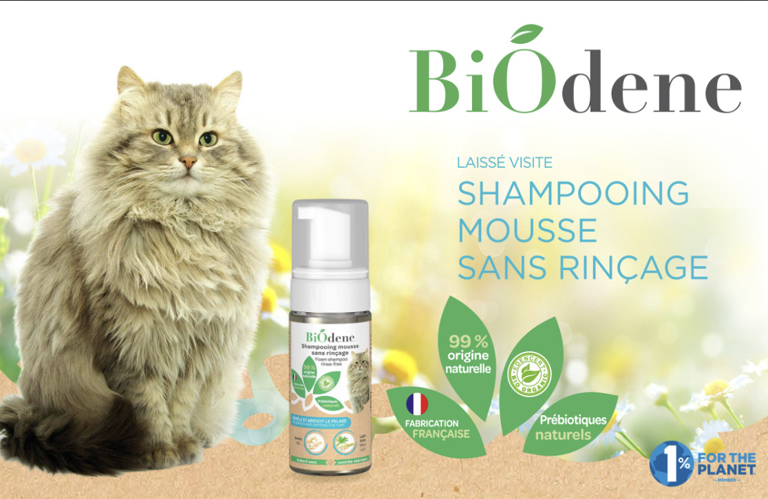 SHAMPOOING MOUSSE CHAT 125ML