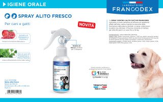 SPRAY ANTI MAUVAISE HALEINE 100ML – Image 3