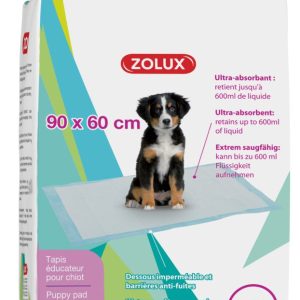 TAPIS EDUC CHIOT X30