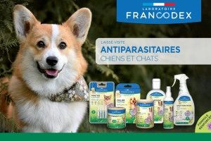 VERS O NET PATE CHAT CHIEN 70G