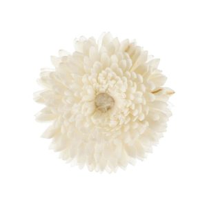 FLEUR DE GOATIER – CHRISTEN
