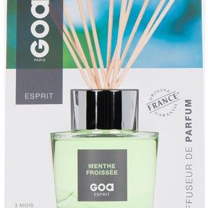 GOATIER ESPRIT 200ML MENTHE FROISSEE