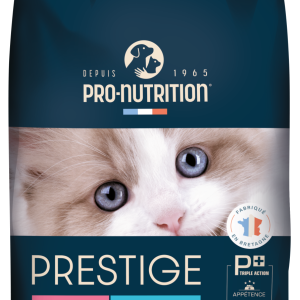 PRESTIGE KITTEN
