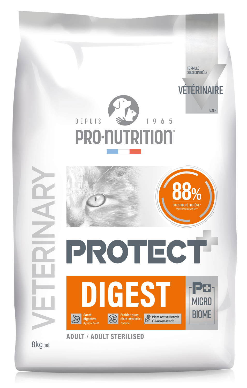 PROTECT CHAT DIGEST