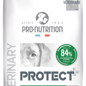 PROTECT CHIEN DERMATO
