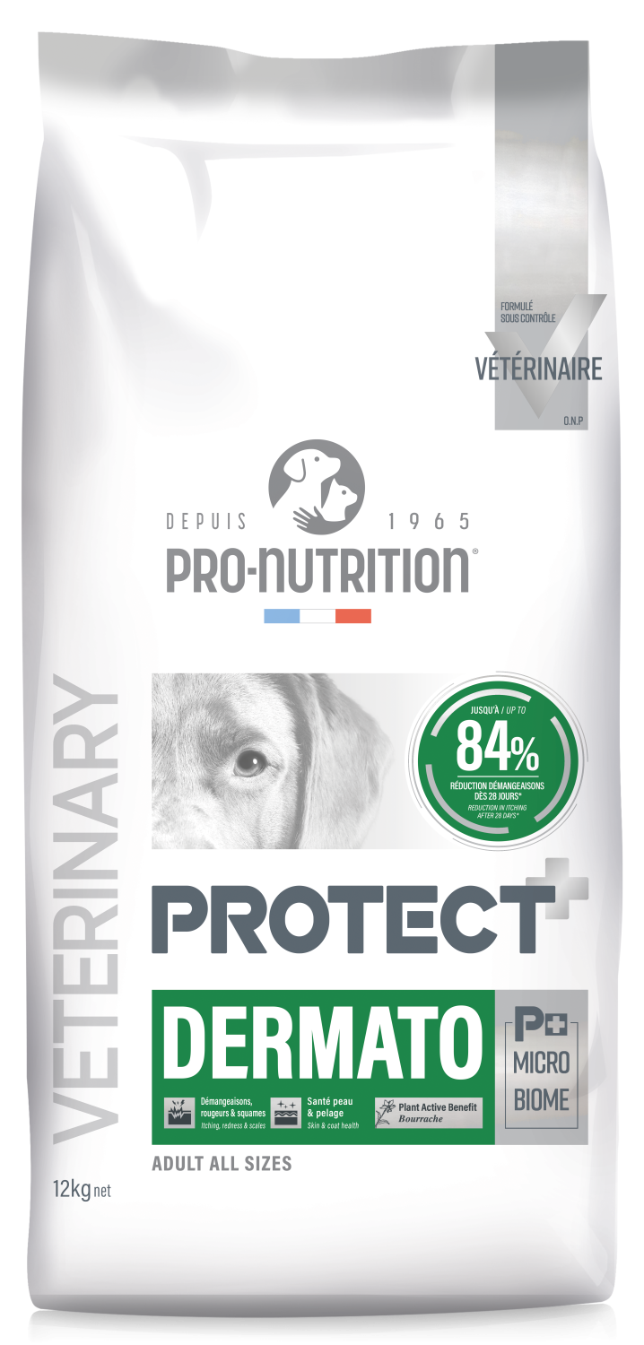 PROTECT CHIEN DERMATO