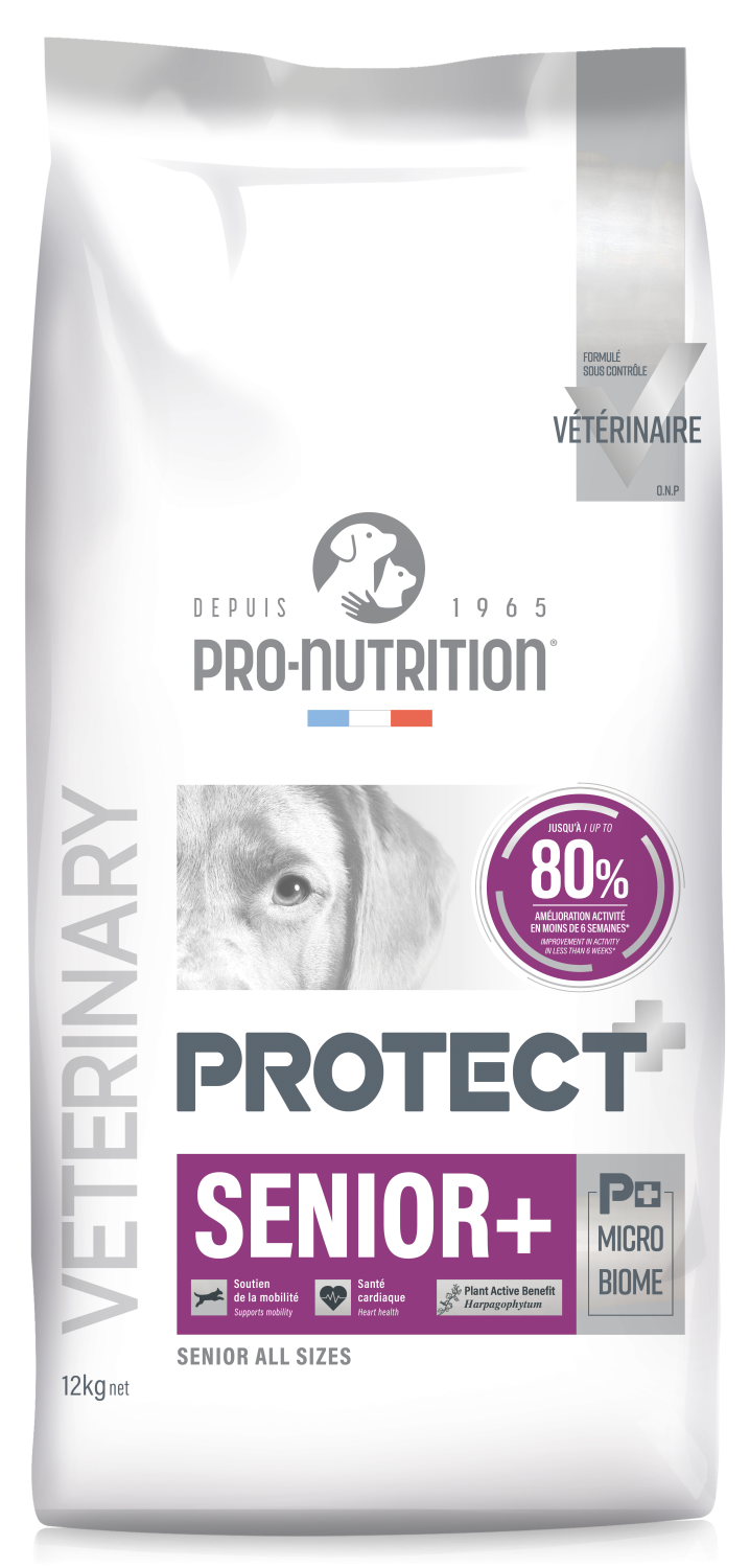 PROTECT CHIEN SENIOR+
