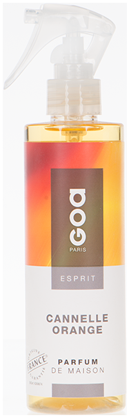 VAPORISATEUR ESPRIT 250ML CANNELLE ORANGE