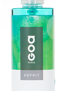 VAPORISATEUR ESPRIT 250ML PATCHOULI CEDRAT