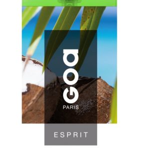 VAPORISATEUR ESPRIT 250ML TROPICAL COCO